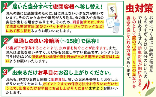 【3ヶ月定期便】ひごみのり 白米 熊本県産 ブレンド米 10kg 熊本県産 ふるさと納税  精米 米 こめ ふるさとのうぜい コメ お米 おこめ《お申込み翌月から出荷》---hkw_hgmtei_67500_10kg_h_mo3---