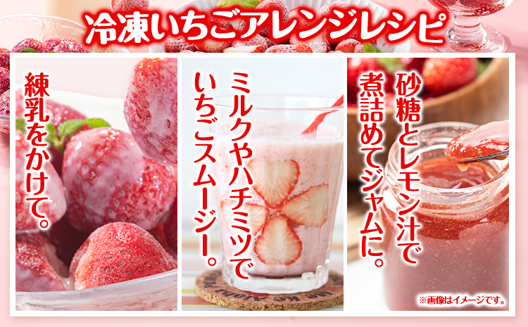 冷凍いちご 約2kg みやざき農園《30日以内に出荷予定(土日祝除く)》 いちご イチゴ ひのしずく ストロベリー 冷凍---sh_fmiyayufarm_30d_25_15000_2kg---