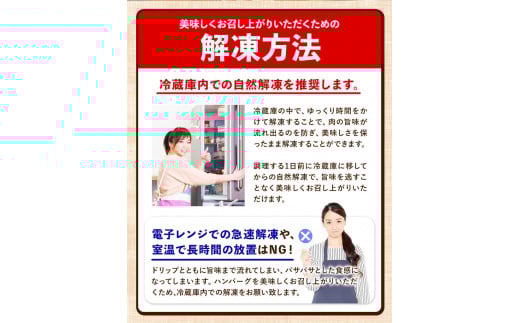 ステーキマニア監修熊本県産あか牛100%生ハンバーグ 合計1820g《2026年1月中旬-3月末頃出荷》バイキングベーカリー---hkw_faknham_bc13_r7_14000_1820g---