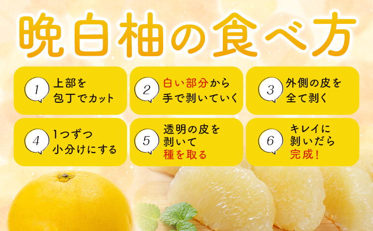 晩白柚 2玉 2Lサイズ ばんぺいゆ 熊本《1月上旬-1月末頃出荷》熊本県 氷川町 果物 フルーツ 熊本県産 晩白柚 ばんぺいゆ---hkw_kbtbpy_ac1_26_12000_2l2i---