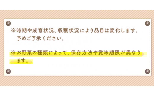 6ヶ月定期便 旬の新鮮野菜・果物詰合せセット(計6回お届け) 10-15品目  道の駅竜北《お申込み月の翌月から出荷開始》---sh_cmitysibtei_r7_117500_mo6num1---
