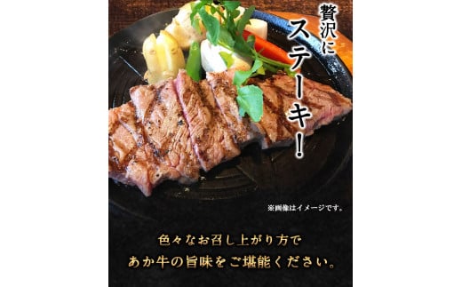 あか牛Bセット 《30日以内に出荷予定(土日祝除く)》  株式会社有佐スーパー---sh_faspakab_30d_r7_117000_1440g---