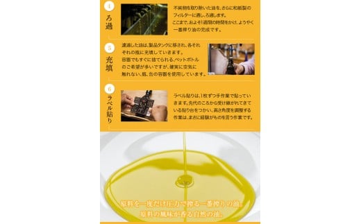 「堀内製油」の地あぶら（なたね油）455g×6本 【定期便】計2回《お申込み月翌月以降の出荷月から出荷開始》 熊本県氷川町産---sh_hra6tei_r7_130000_ev6mo2num1---