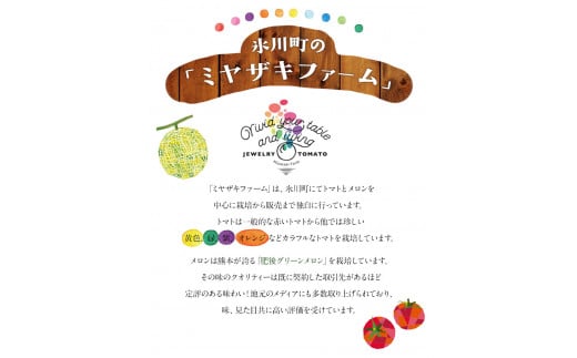 【先行予約】「ミヤザキファーム」 肥後グリーンメロン2玉《6月中旬-6月末頃出荷》 熊本県氷川町産---sh_miyameron_j6_r7_15000_2t---