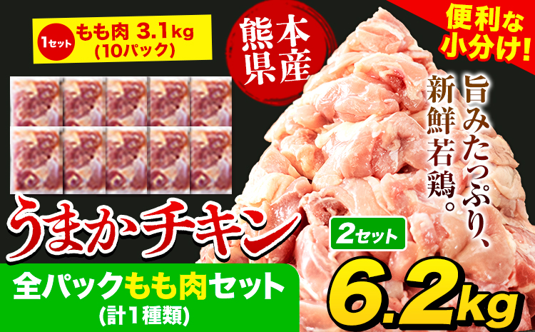 うまかチキン 全パックもも肉セット(計1種類) 合計6.2kg 3.1kg×2セット《3-7営業日以内に出荷予定(土日祝除く)》ふるさと納税 肉 とり とり肉 鳥もも肉 小分けバック 鳥 とりもも 冷凍 大容量 もも肉 簡易包装---hkw_fumkmm_u_25500_6200g---