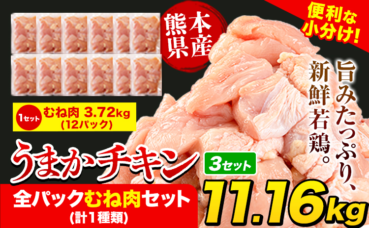 うまかチキン 全パックむね肉セット(計1種類) 合計11.16kg 3.72kg×3セット《3-7営業日以内に出荷予定(土日祝除く)》ふるさと納税 肉 とり とり肉 とりむね 小分けバック 鳥 冷凍 定期 大容量 簡易包装---hkw_feumaka_u_34000_11160g---