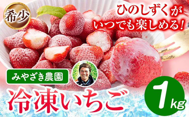 冷凍いちご 約1kg みやざき農園《30日以内に出荷予定(土日祝除く)》熊本県 氷川町 いちご イチゴ ひのしずく 国産 冷凍いちご フルーツ ストロベリー 冷凍 お菓子作り 送料無料---sh_fmiyayufarm_30d_25_10000_1kg---