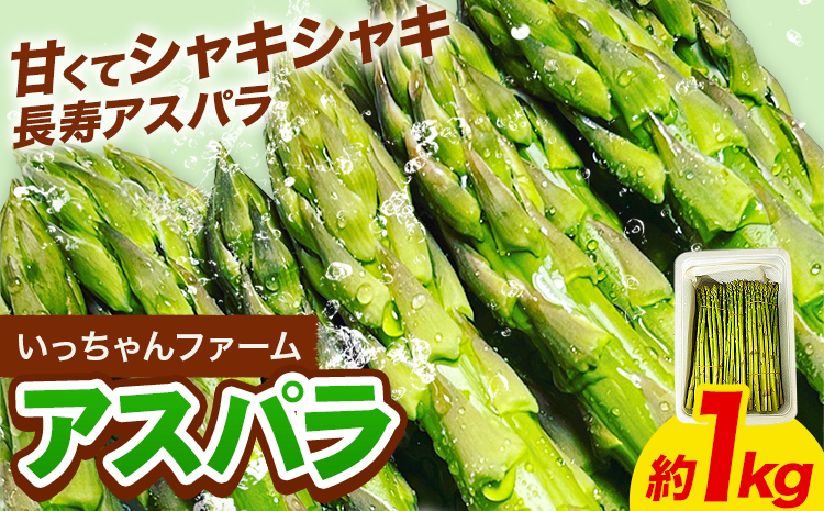 アスパラガス 約1kg いっちゃんファーム《3月上旬-9月下旬頃出荷》熊本県 氷川町 氷川産 野菜 アスパラガス アスパラ---sh_cichnasp_26_ab39_10500_1kg---