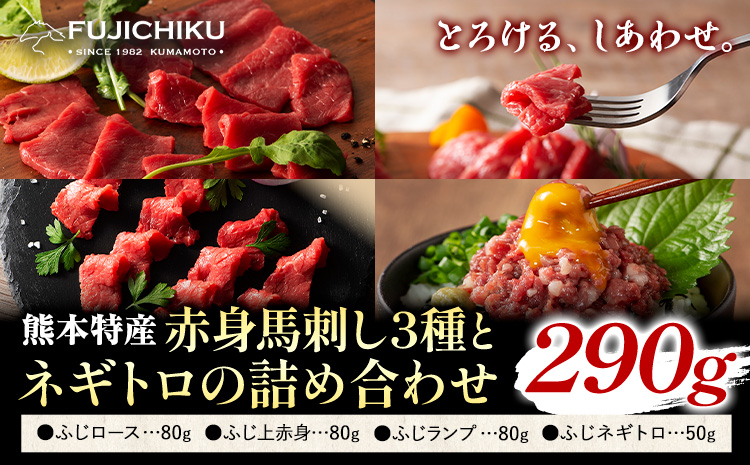 馬刺し 熊本県産 赤身 馬刺し 3種 ネギトロ 詰め合わせ 道の駅竜北《30日以内に出荷予定(土日祝除く)》 熊本県 氷川町 肉 馬肉 国産 赤身 上赤身 ロース ランプ 馬 ふじ馬刺し セット 食べ比べ---sh_fyekabnt_r7_30d_26500_290g---st-p