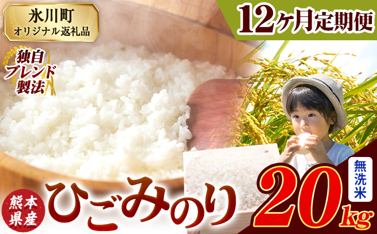 【12ヶ月定期便】ひごみのり 無洗米 熊本県産 ブレンド米 20kg 熊本県産 ふるさと納税  精米 米 こめ ふるさとのうぜい コメ お米 おこめ《お申込み翌月から出荷》---hkw_hgmtei_534000_20kg_m_mo12---
