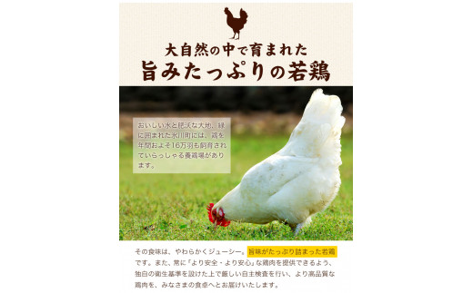 熊本県産 若鶏手羽元 約4kg 2kg×2P 《30日以内に出荷予定(土日祝除く)》---hkw_ftoritbm_30d_r7_10000_4kg---