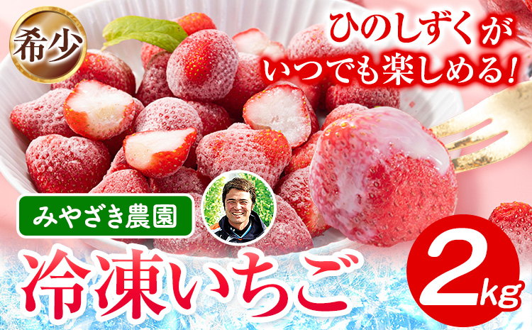 冷凍いちご 約2kg みやざき農園《30日以内に出荷予定(土日祝除く)》 いちご イチゴ ひのしずく ストロベリー 冷凍---sh_fmiyayufarm_30d_25_15000_2kg---