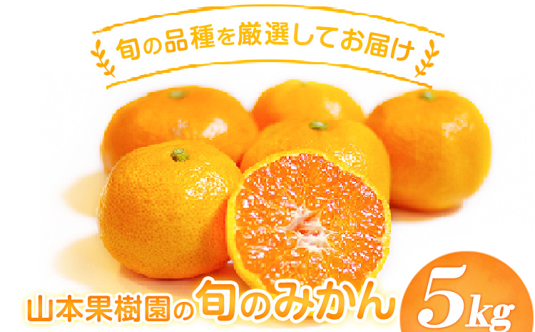 山本果樹園の旬のみかん 5kg 山本果樹園《９月中旬-2月末頃出荷予定》蜜柑 柑橘 ひのあかり 日南 豊福　肥後早生 青島---sh_ymmtmkn_bc92_r7_9000_5kg---