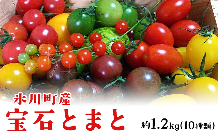 「ミヤザキファーム」 宝石とまと1.2kg 熊本県氷川町産《12月上旬-6月末頃出荷予定》 小鈴 アイコ イエローアイコ オレンジ千果 みどりちゃん セレブスイート グリーンゼブラ 桃太郎ゴールド トスカーナバイオレット マイクロトマト---sh_cmiyatmt_ac126_r7_13000_1200g---