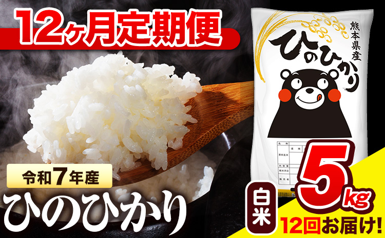 令和7年産 白米 【12ヶ月定期便】 ひのひかり 5kg《お申し込み月の翌月から出荷開始》 熊本県産 白米 精米 氷川町 ひの 送料無料 ヒノヒカリ コメ 便利 ブランド米 お米 おこめ 熊本---hn7tei_132000_5kg_mo12_hkw_h---
