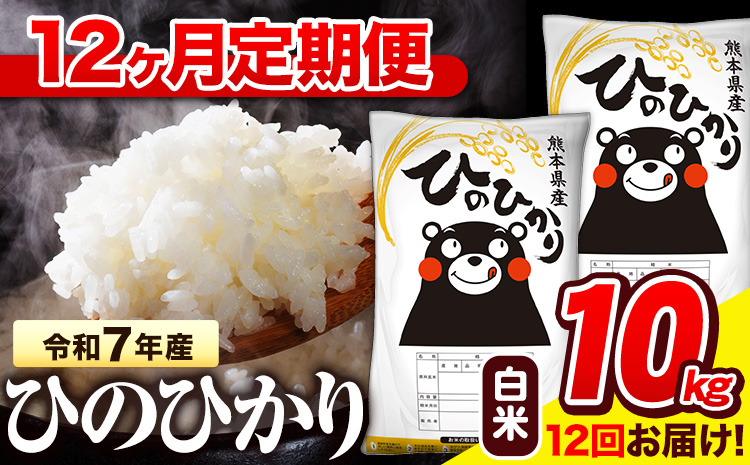 令和7年産 白米 【12ヶ月定期便】 ひのひかり 10kg《お申込み翌月から出荷》 熊本県産 白米 精米 氷川町 ひの 送料無料 ヒノヒカリ コメ 便利 ブランド米 お米 おこめ 熊本---hn7tei_294000_10kg_mo12_hkw_h---