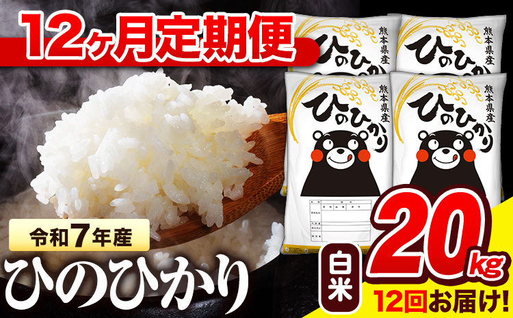 令和7年産 白米 【12ヶ月定期便】 ひのひかり 20kg《お申込み翌月から出荷》 熊本県産 白米 精米 氷川町 ひの 送料無料 ヒノヒカリ コメ 便利 ブランド米 お米 おこめ 熊本---hn7tei_582000_20kg_mo12_hkw_h---