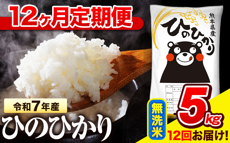 令和7年産 無洗米 【12ヶ月定期便】 ひのひかり 5kg《お申し込み月の翌月から出荷開始》 熊本県産 無洗米 精米 氷川町 ひの 送料無料 ヒノヒカリ コメ 便利 ブランド米 お米 おこめ 熊本---hn7tei_132000_5kg_mo12_hkw_m---