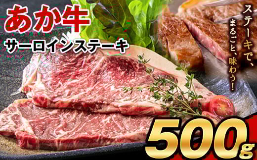 あか牛（褐毛和牛） サーロイン ステーキ 500g 《2026年1月中旬-3月末頃出荷》 牛肉 冷凍---hkw_faksir_bc13_r7_19000_500g---