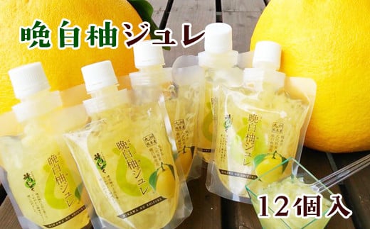 晩白柚ジュレ170g×12個 《30日以内に出荷予定(土日祝除く)》 道の駅竜北 熊本県氷川町---sh_cmitijure_30d_r7_16000_12p---