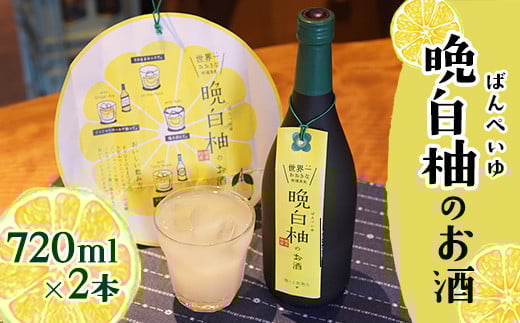 「はやし屋」の晩白柚のお酒 2本セット 《30日以内に出荷予定(土日祝除く)》 熊本県氷川町産---sh_hayashisake_30d_r7_12000_2p---