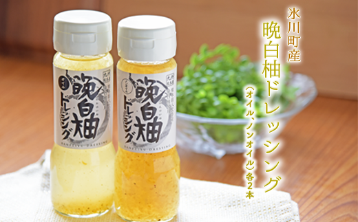 晩白柚ドレッシングセット オイル ノンオイル 各2本 熊本県氷川町産 道の駅竜北 《60日以内に出荷予定(土日祝除く)》---sh_michioil_60d_r7_12000_800ml---