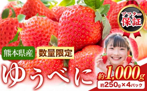 [数量限定]ゆうべに 約1,000g(約250g×4パック)いちご 苺 ゆうべに[7-14営業日以内に出荷予定(土日祝除く)]---hkw_cjaybn_wx_24_9500_1kg---