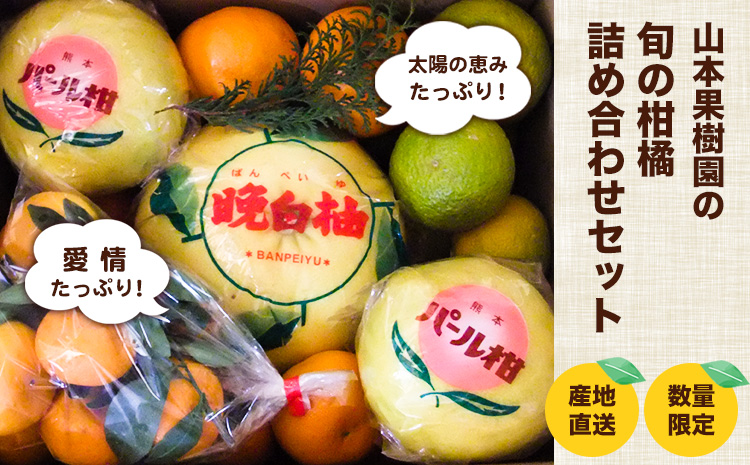 柑橘詰め合わせセット(5種類・10kg以上) 12月上旬-1月末頃出荷] 山本果樹園 果物 フルーツ みかん---sh_ymmtbox_ad121_24_16000_10kg---