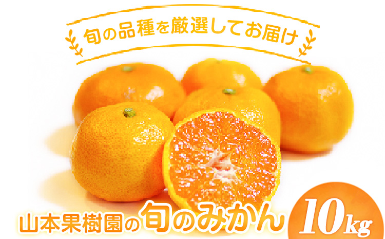 山本果樹園の旬のみかん 10kg 山本果樹園[9月中旬-2月末頃出荷予定]蜜柑 柑橘 ひのあかり 日南 豊福 肥後早生 青島---sh_ymmtmkn_bc92_r7_13500_10kg---