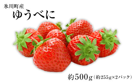 [数量限定]ゆうべに 約500g(約255g×2パック)3Lサイズ[1月上旬-2月下旬頃出荷]JAやつしろ和鹿島いちご部会---sh_cjayubeni_ak1_23_10000_500g---