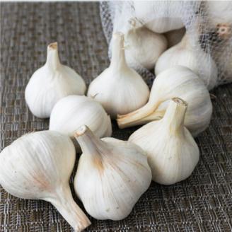 B66-13 ニンニク約２kg