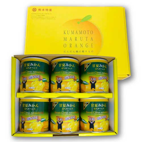 B206-09 甘夏みかん缶詰（6缶入）