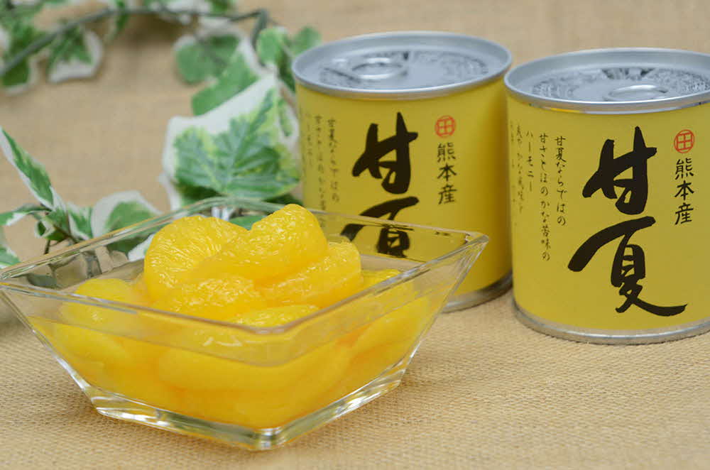 B242-50 甘夏缶詰（24缶入×2ケース）