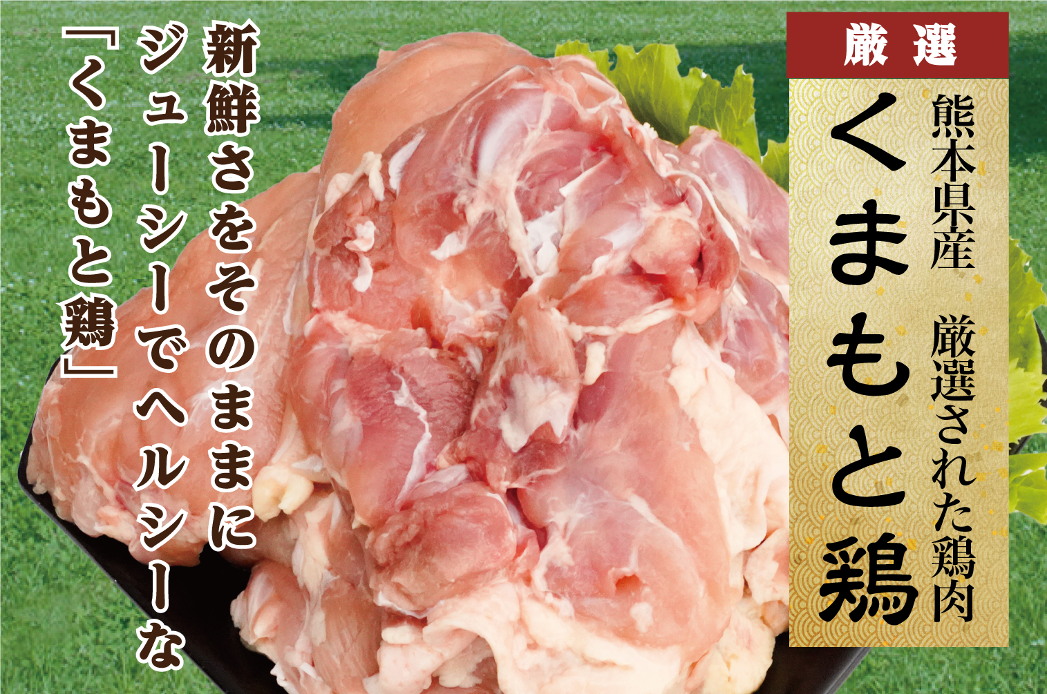 B267-24 熊本県産　若鶏モモ肉 ３kg入、若鶏ムネ肉 ３kg入