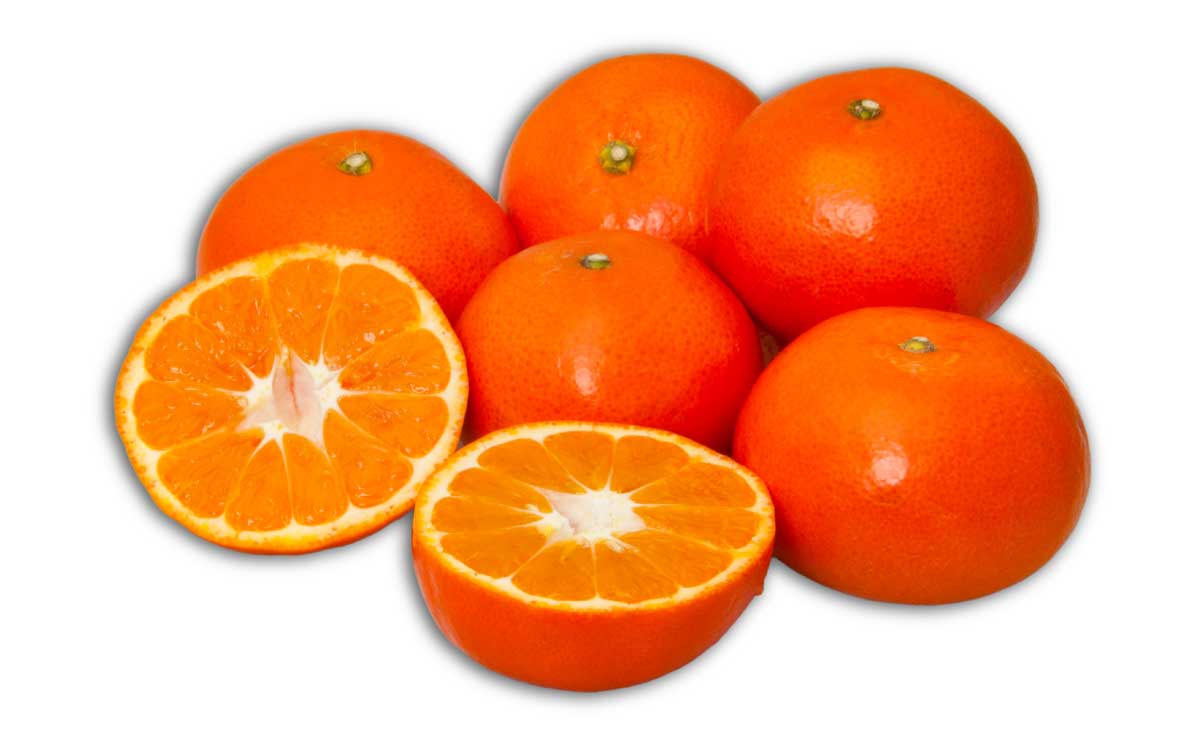 B351-13 まるたん　１６玉　化粧箱入り