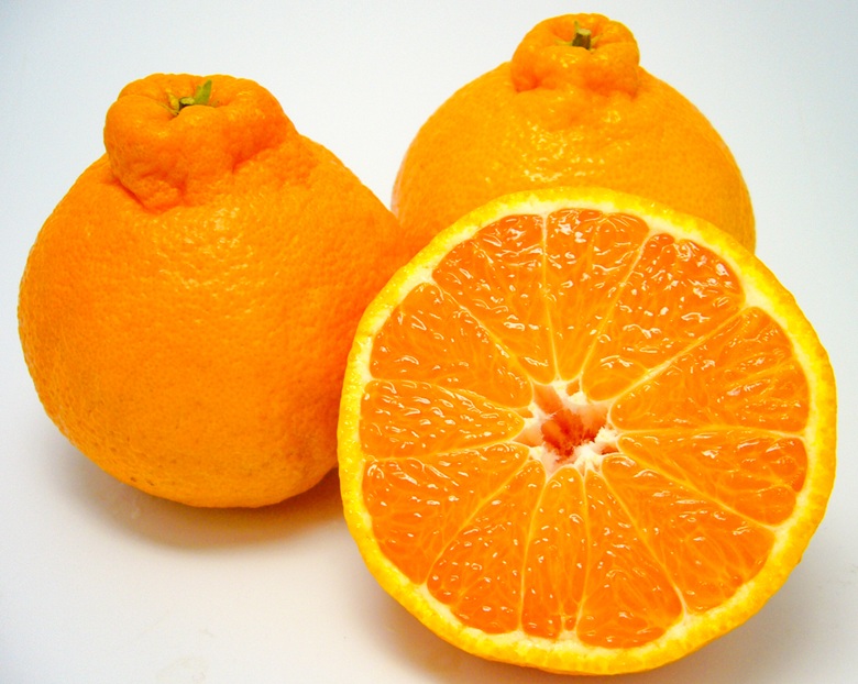 B355-10 露地トップオレンジ　優　９玉