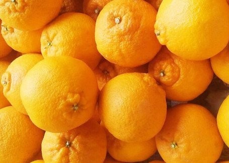 B356-13 無加温ハウス栽培トップオレンジ(不知火)　9玉入り