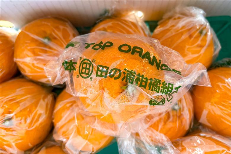 B357-15 Pプラスポリ入りトップオレンジ　２０玉