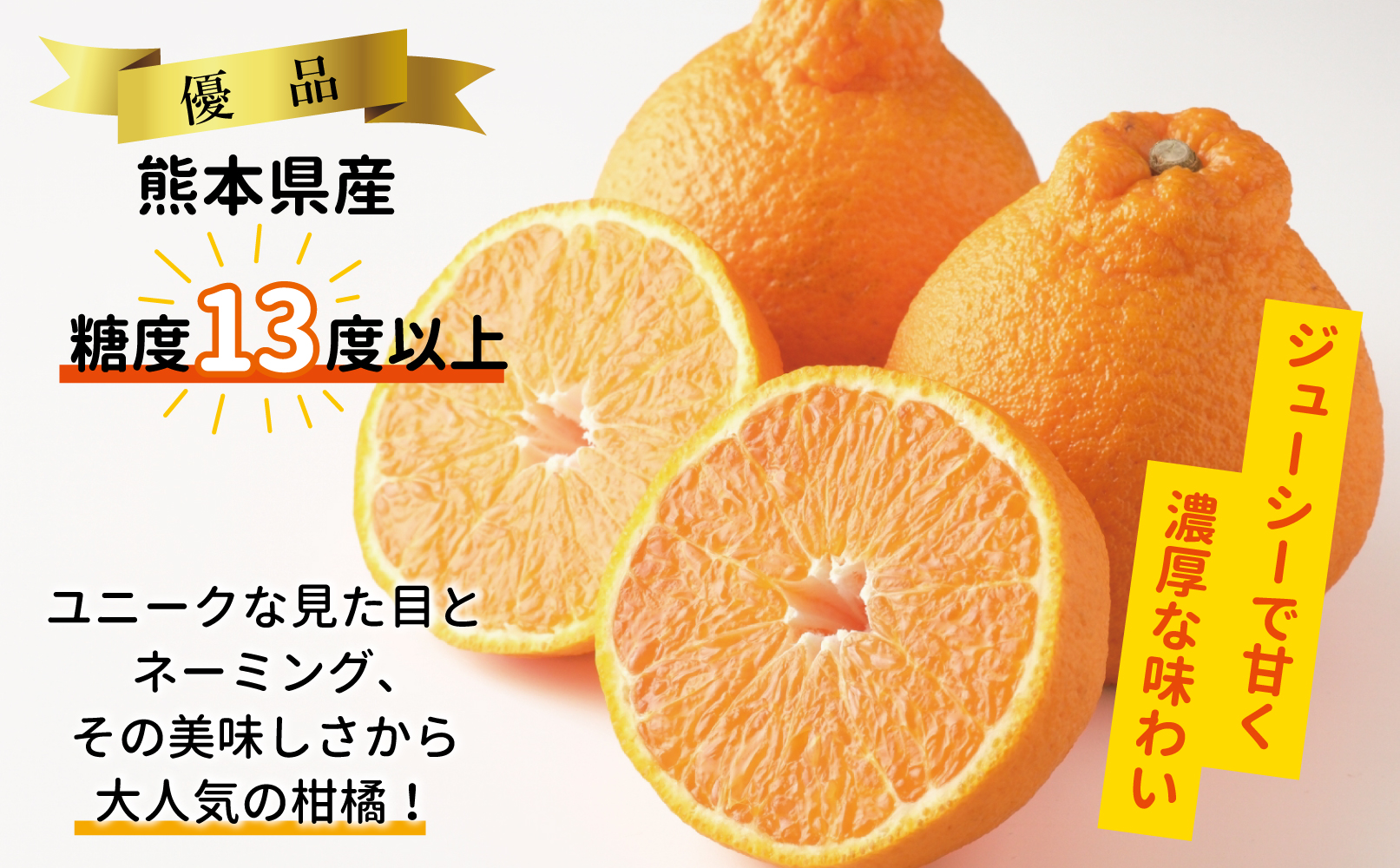 B5-12 露地デコポン3㎏