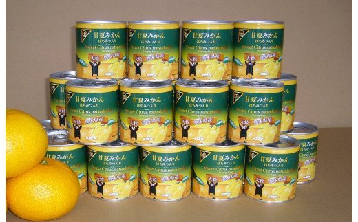 B83-26 甘夏みかん缶詰（24缶入）