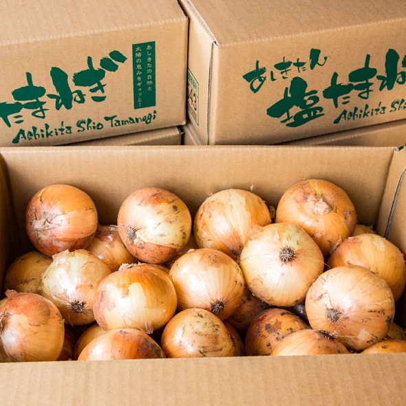 B65-12 あしきたん塩玉ねぎ10㎏【発送は3月下旬～6月上旬】