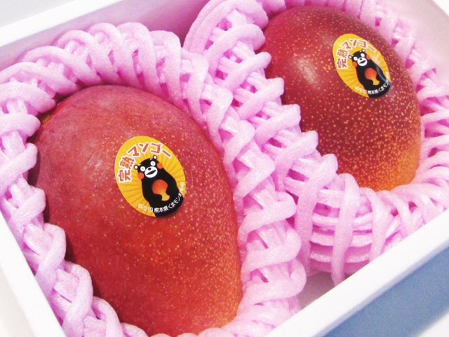 B58-20 完熟マンゴー（2Ｌ×2玉）