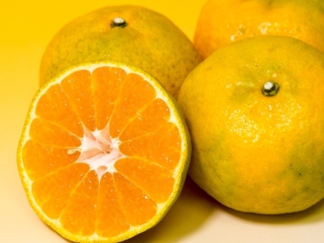 B57-17 スイートスプリング、はやか詰合せ10㎏