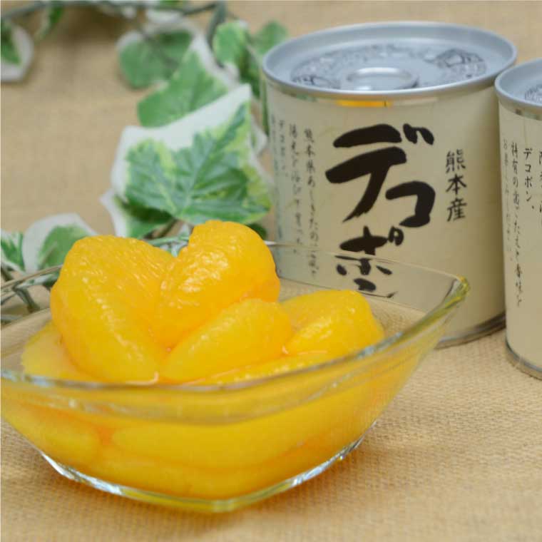 B182-09 デコポン缶詰（6缶入）