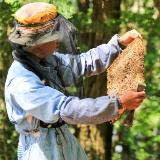 B54-14 蜂蜜セット(みかん蜂蜜、百花蜂蜜)