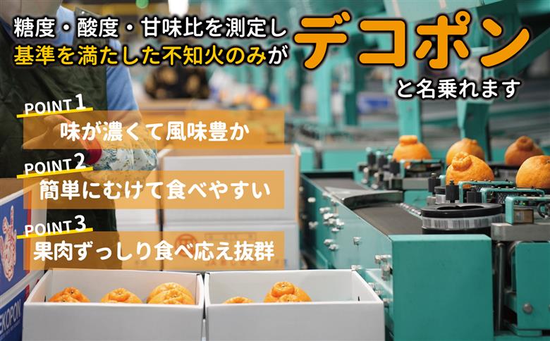 B26-16ハウスデコポン3㎏