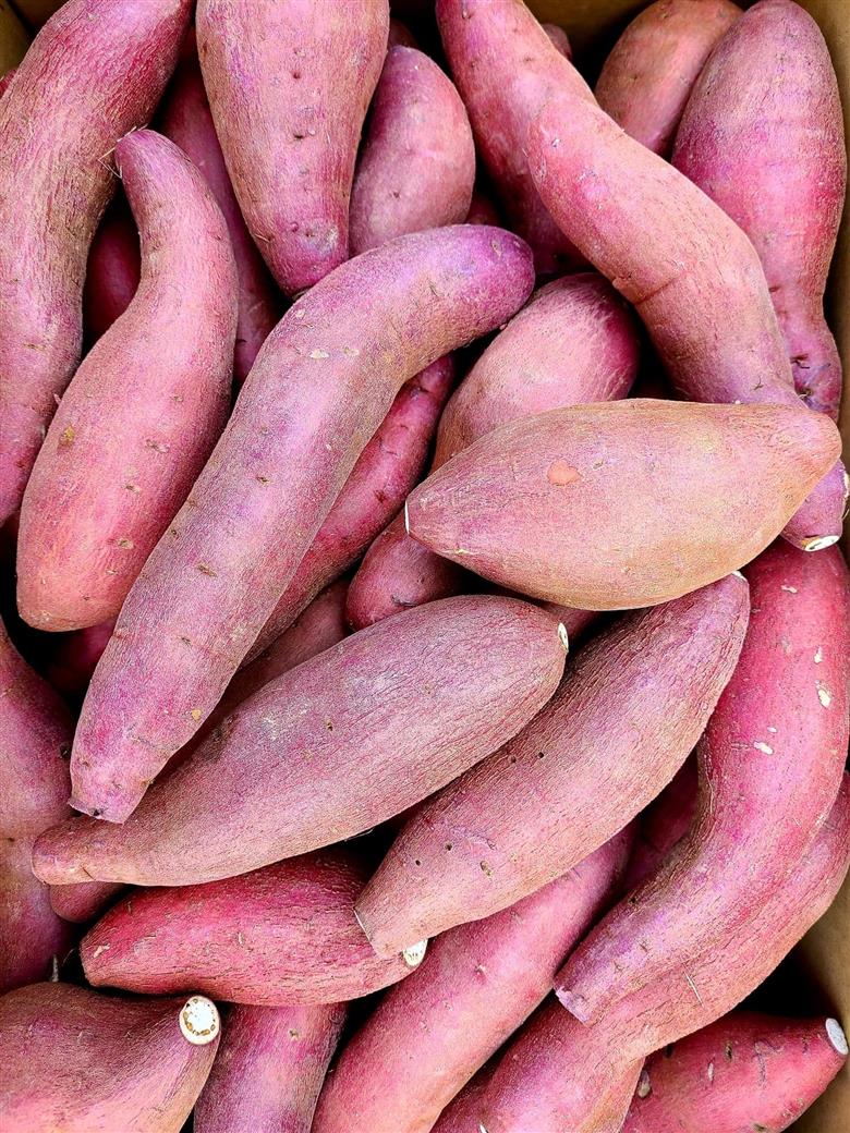 B278-27 mosukii　さつまいもケーキ（食べ比べ３種類セット）1個