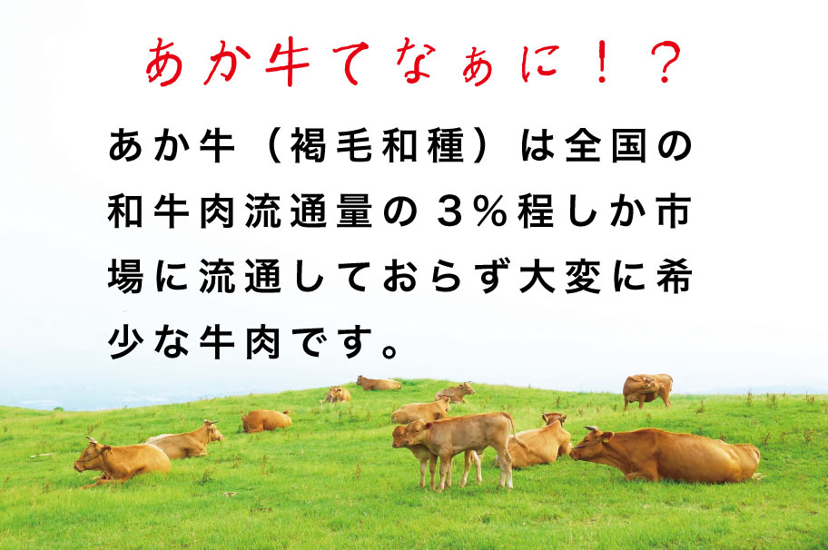 B318-34 あか牛カルビ焼肉用 800g（あか牛バラカルビ400g×2）