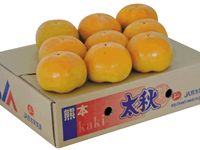 B7-15 太秋柿【秀品】