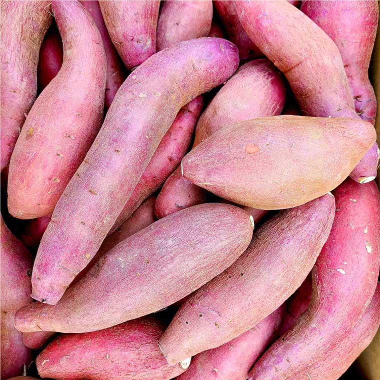 B172-13 熊本県産冷凍焼き芋３ｋｇ